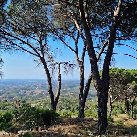 Quinta Da Idalina *