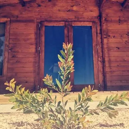 Farma Quinta Da Idalina