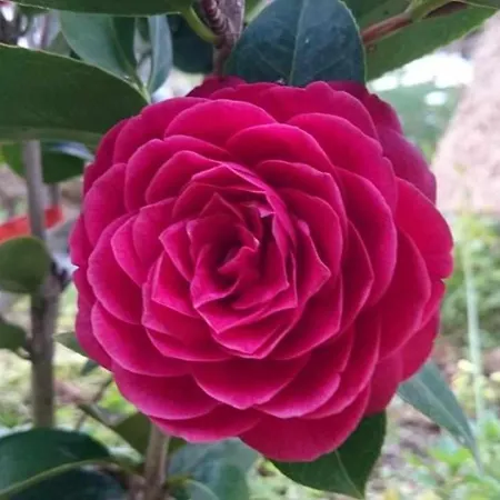 בית חווה Quinta Da Idalina *