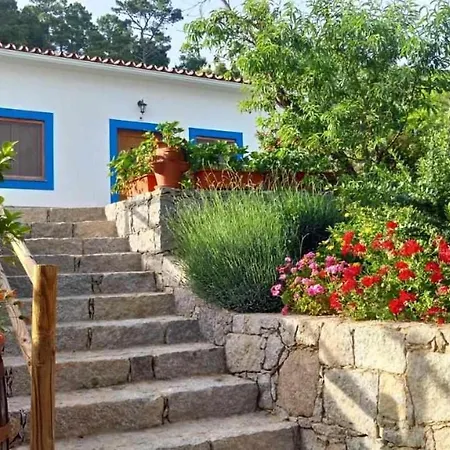 Séjour à la ferme Quinta Da Idalina