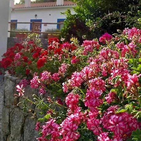 Quinta Da Idalina מונצ'יק