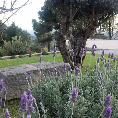 Quinta Da Idalina * Monchique