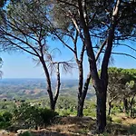 Quinta Da Idalina *